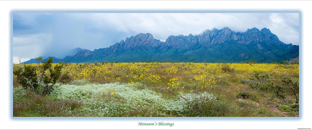 Monsoon Blessing - Panoramic Poster 15X36